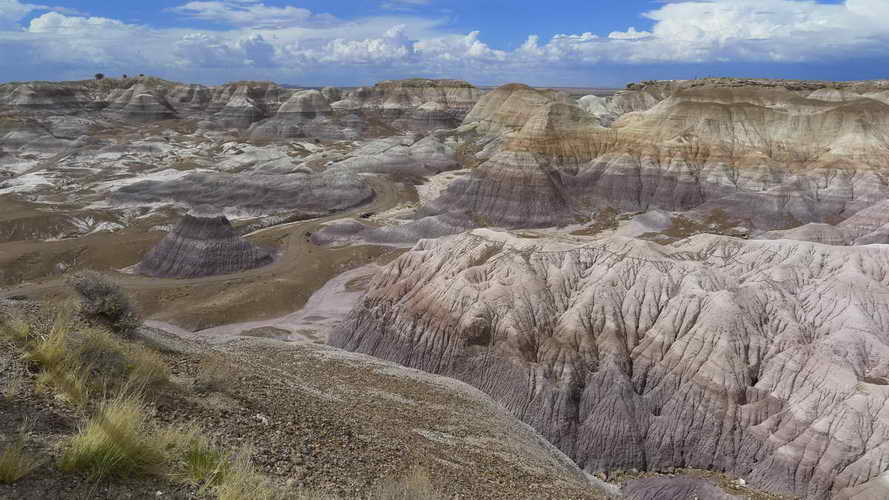 USA_2018-07-11 15-14-32_P1160313